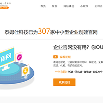 天津濱海新區中小企業網站建設、中小企業官網制作及網站優化服務與設計服務
