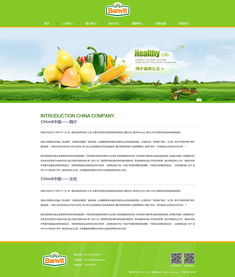 天津網站設計 奔唐網絡飲料原料官網設計