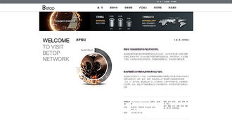 天津網(wǎng)頁開發(fā)與工業(yè)制造官網(wǎng)設計——奔唐網(wǎng)絡的卓越實踐